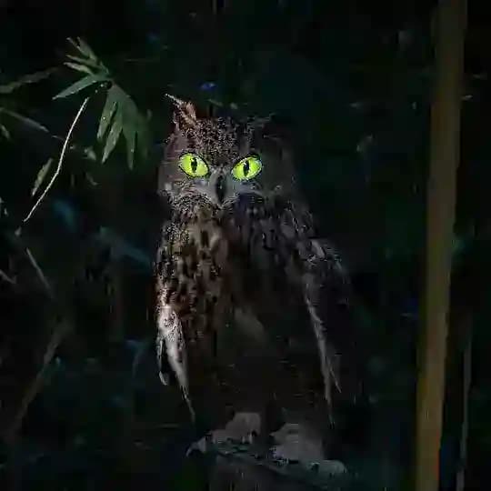 【夜鹰 数据】九年老数据商,一手渗透数据。