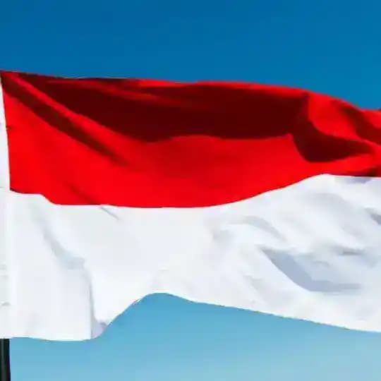 🇮🇩印尼素材🇮🇩🔥 印度尼西亚素材