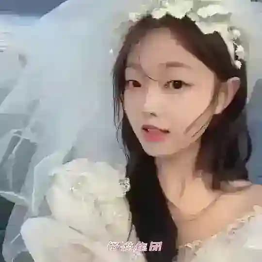 伊诺集团💗