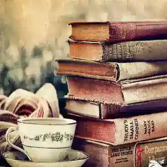 Yks dgs kpss kitap pdf Profile