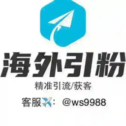 海外引流【数据/引粉】 Profile