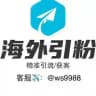 海外引流【数据/引粉】