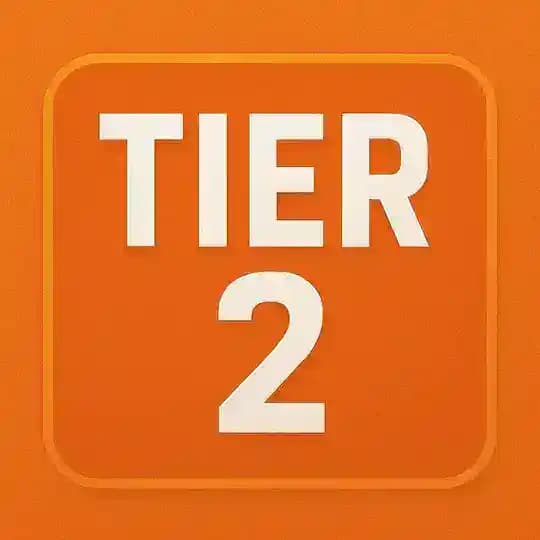 Tier 2 – Intermediate Strategic Partner