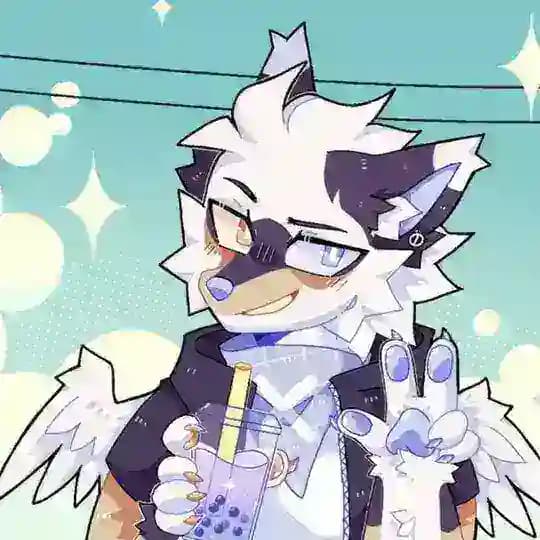 ✧ yoshi_ruko