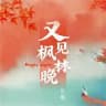 深圳枫林晚优惠福利🧧