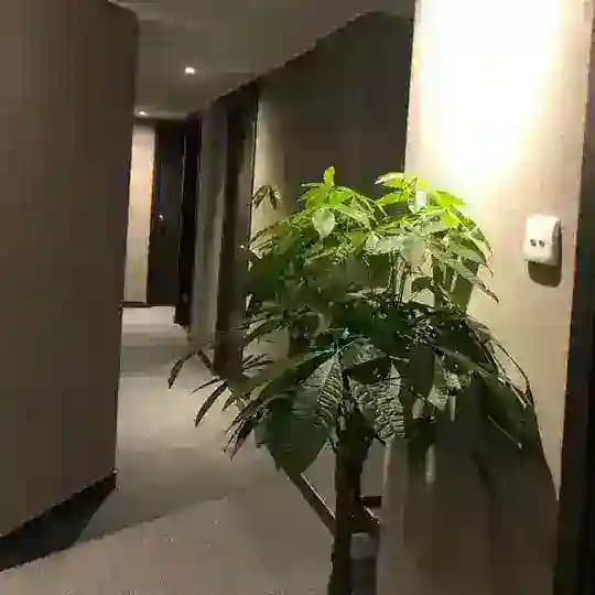 戀 spa