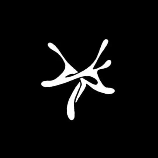 YSL | Young Stoner Life
