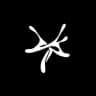 YSL | Young Stoner Life