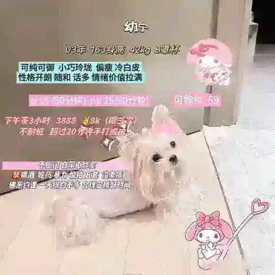 幼宁🍋小屋