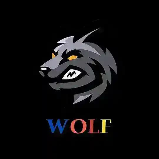 WOLF公益硬件断点追频道🇨🇳