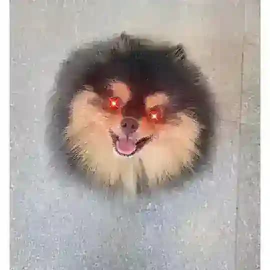 디젠의 트레이딩 일지 Profile