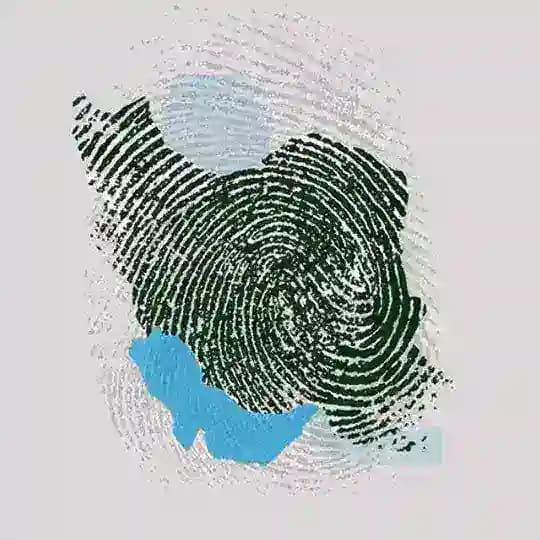 خلیج پارس "