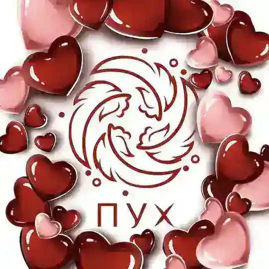 ПУХ (Профсоюз Уставших Художников)