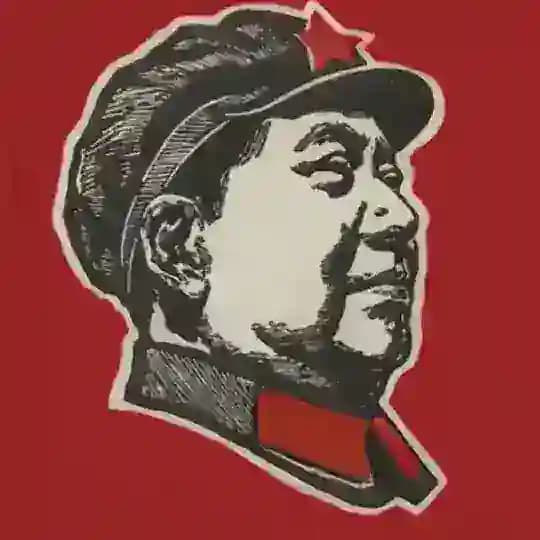 学习新思想，争做新青年