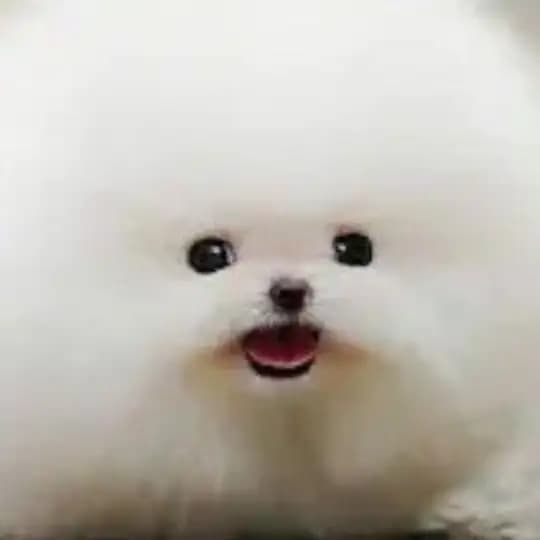 yuf!e