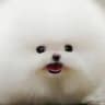 yuf!e