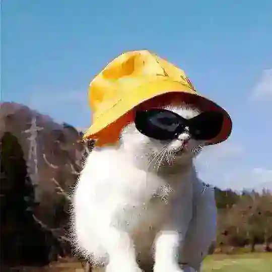 Yumorist mushuk Profile