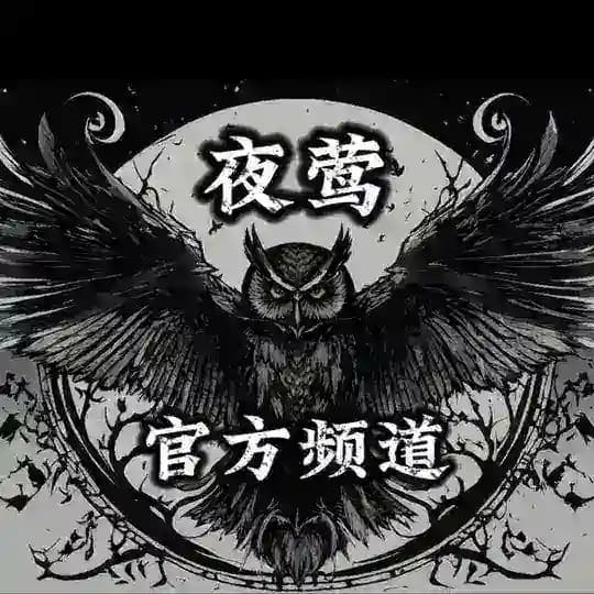 夜莺_官方频道