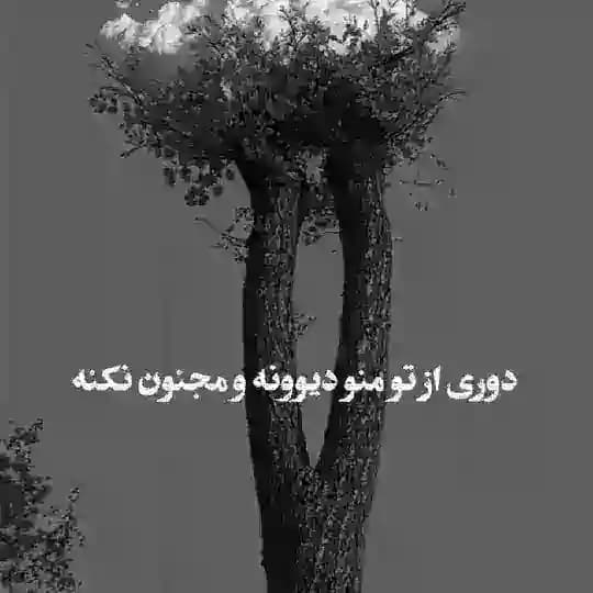 کلبه ی تنهایی من 🥀💔