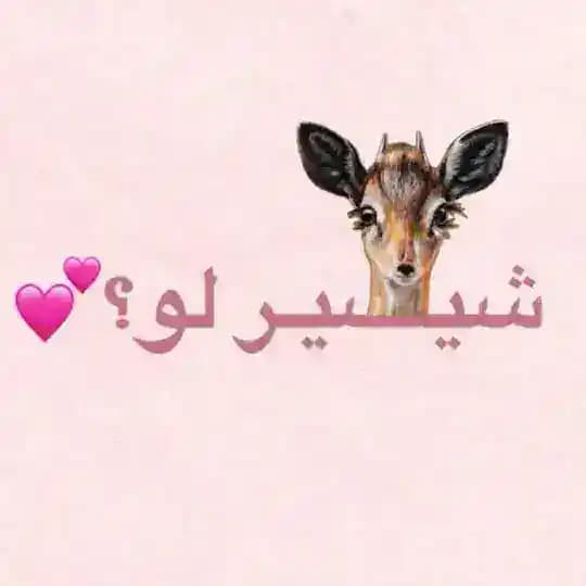 شـيصـير لــوُ؟