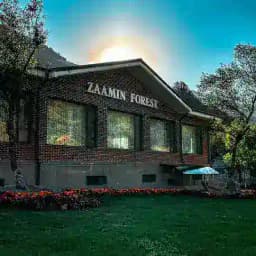 Zaaminforest Profile