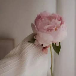 زهرة بلدي Profile