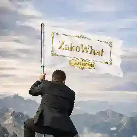 ZakoWhat