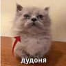 Муравьиный замок