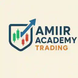 SAYID AMIIR TRADER Profile