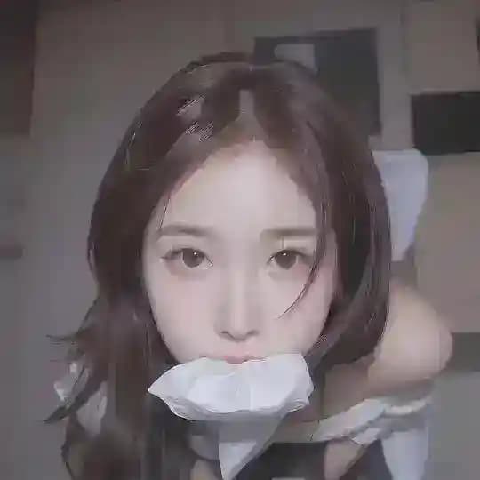 每日车牌🎀出处分享 Profile