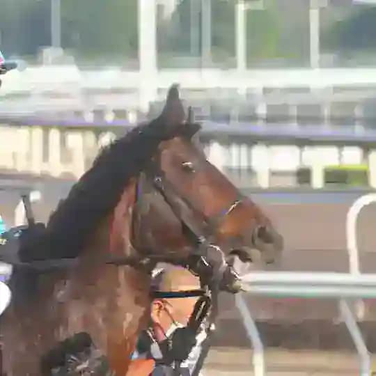 山並 賽馬資訊
