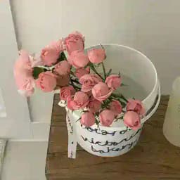 【少女社】御姐露出曝光台 Profile