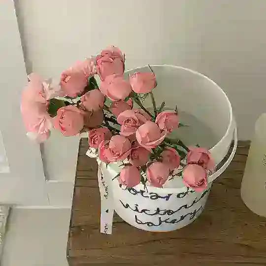 【少女社】御姐露出曝光台 Profile