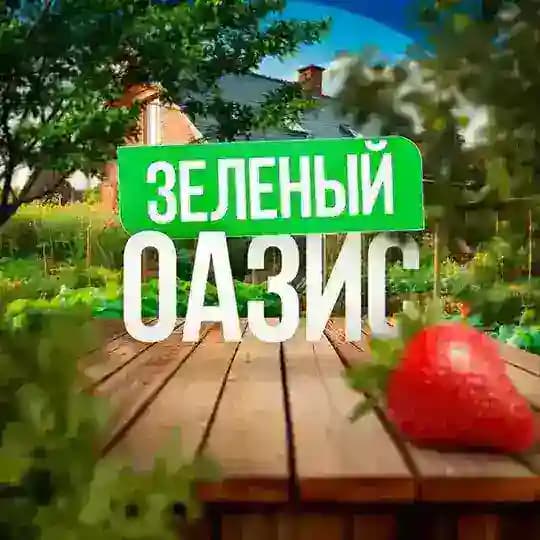 Зелёный Оазис 🌴 - Сад и Огород круглый год