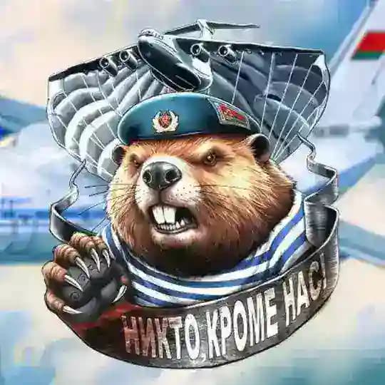 Зенитный бастион