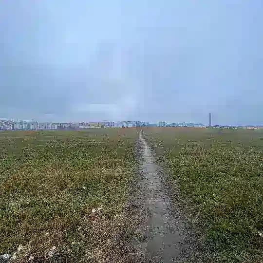 я зеннтик