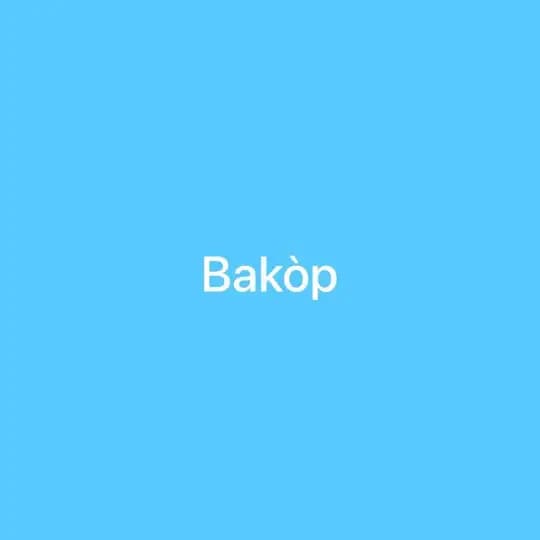 Bakòp