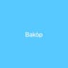 Bakòp