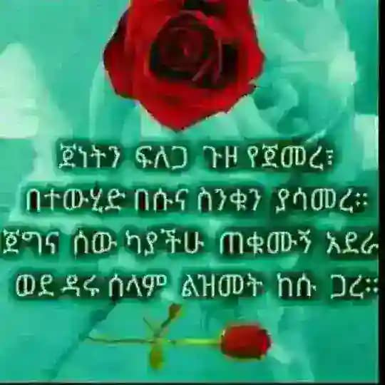 Zeyne Seid (Official channels🇪🇹🇪🇹 )