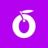 صندوق مختلط زیتون
