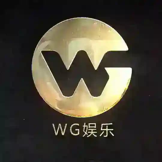 WG娱乐口令通道🧧支付宝招商项目