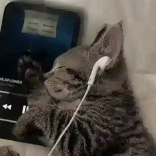 Groznyy
