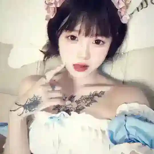 撸猫小屋