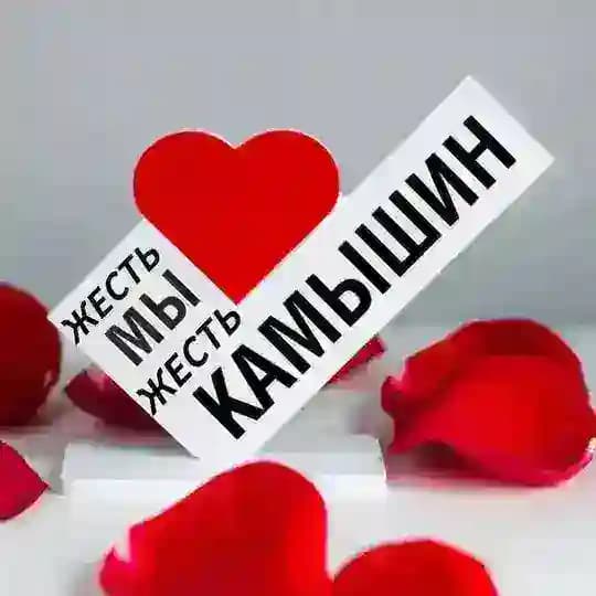 Жесть. Камышин