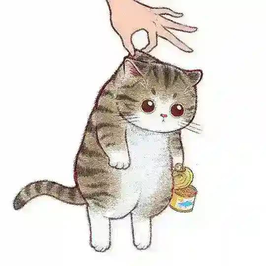 和平功夫狸猫导航频道