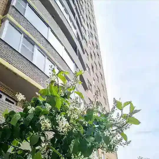 ЖК Лучший/ Петра Метальникова