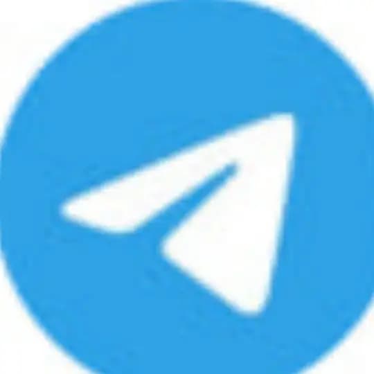 中文插件 Profile