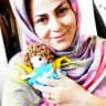 قلاببافی_عروسکبافی زیبافت