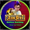 Zin Gyi ရဲ့ ပွဲကြိုသုံးသပ်ချက်များ