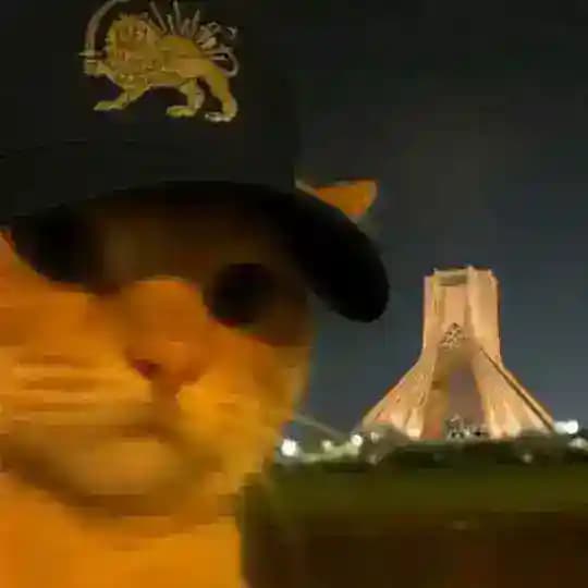 زیرنافی🥺